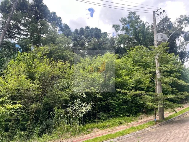 Imagem 2: Terreno à Venda Linha Imperial Nova Petrópolis | 426m² Junto à Natureza