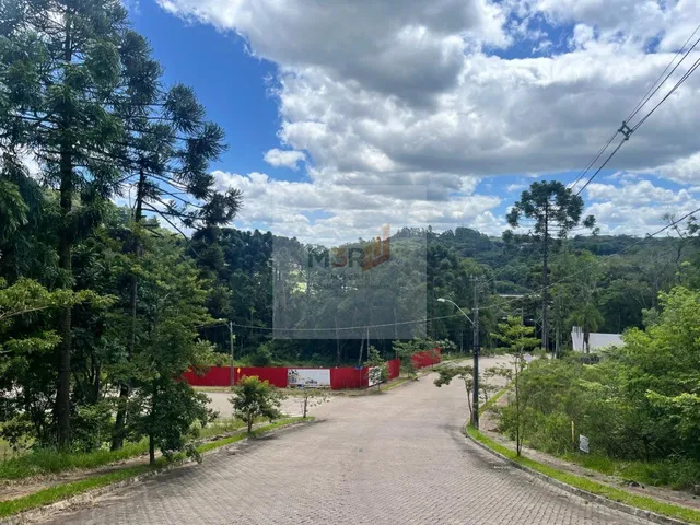Imagem 4: Terreno à Venda Linha Imperial Nova Petrópolis | 426m² Junto à Natureza