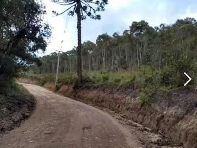 Imagem: Área em Bocaiúva do Sul/Pr