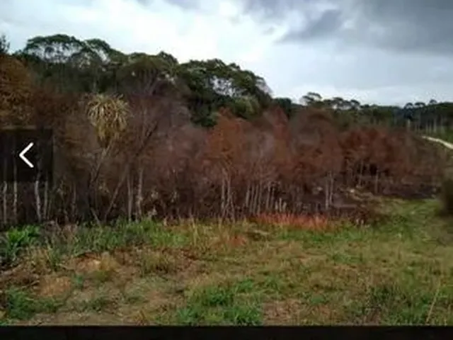 Imagem 4: Área em Bocaiúva do Sul/Pr