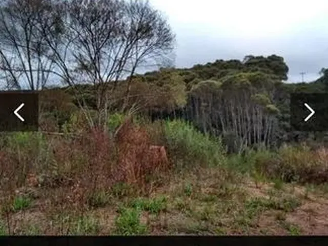 Imagem 2: Área em Bocaiúva do Sul/Pr