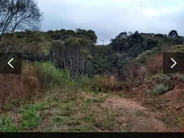 Imagem 5: Área em Bocaiúva do Sul/Pr