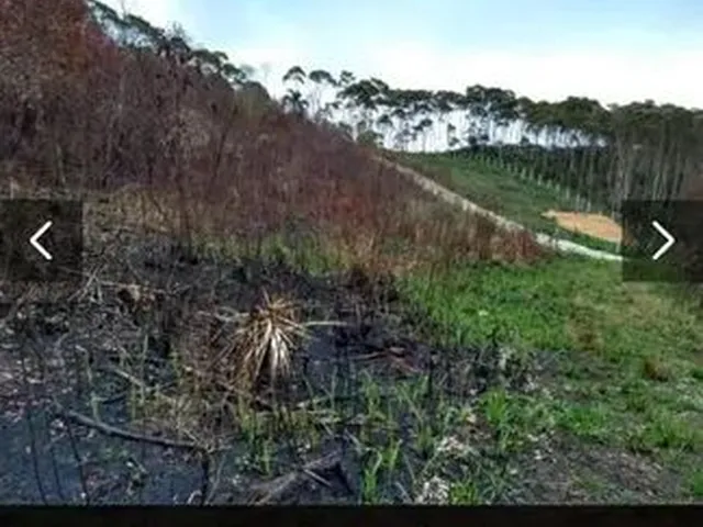 Imagem 6: Área em Bocaiúva do Sul/Pr