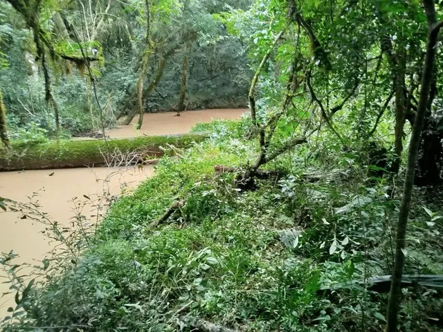Imagem: Chácara com Tanque de Peixe em Quitandinha