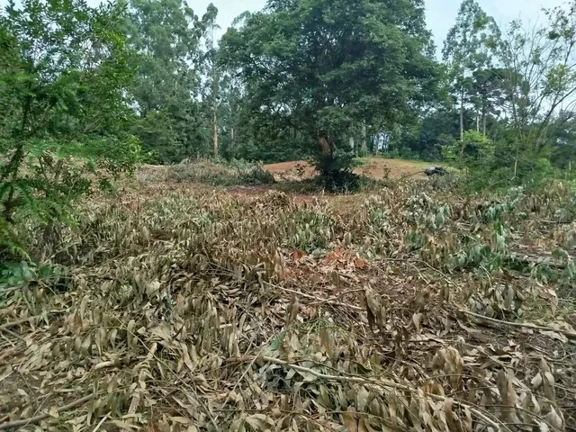Imagem 2: Chácara com Tanque de Peixe em Quitandinha