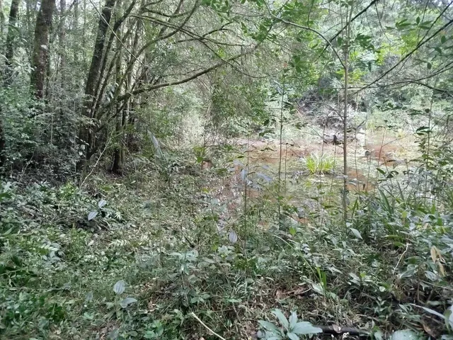 Imagem 9: Chácara com Tanque de Peixe em Quitandinha