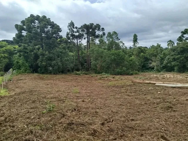 Imagem 5: Chácara com Tanque de Peixe em Quitandinha