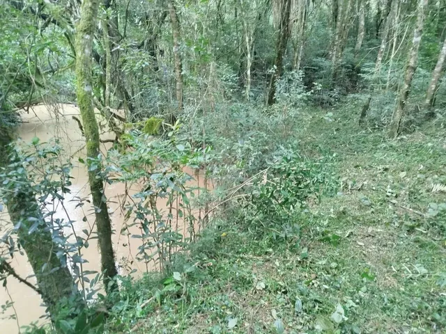 Imagem 6: Chácara com Tanque de Peixe em Quitandinha
