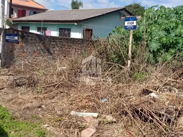 Imagem: Terreno À Venda em São José dos Pinhais