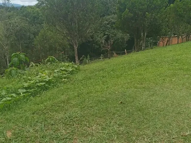 Imagem 3: Chácara em Ribeirão do Meio