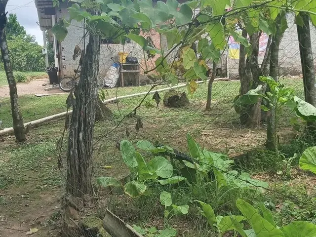 Imagem 7: Chácara em Ribeirão do Meio