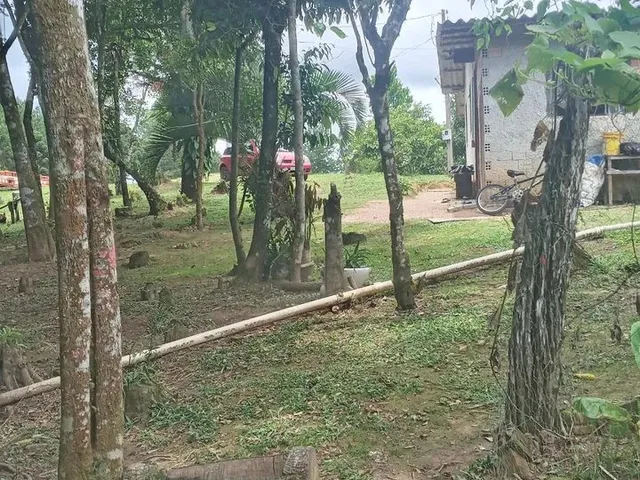 Imagem 9: Chácara em Ribeirão do Meio