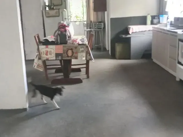 Imagem 10: Chácara em Ribeirão do Meio