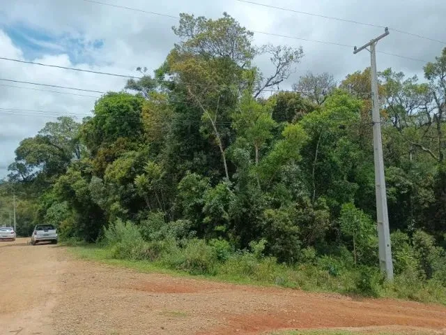 Imagem: Terreno São José dos Pinhais
