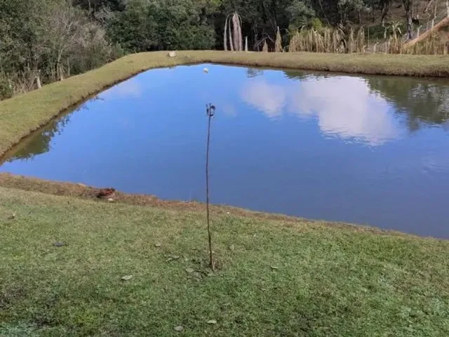 Imagem 5: Chácara com Tanque, Aceita Permuta