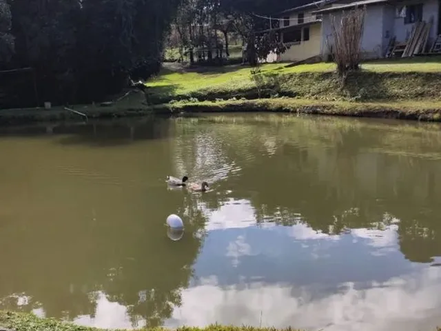 Imagem 7: Chácara com Tanque, Aceita Permuta
