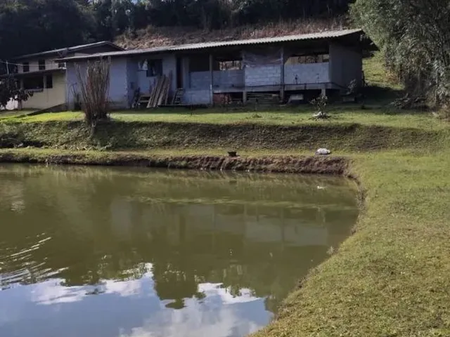 Imagem 8: Chácara com Tanque, Aceita Permuta