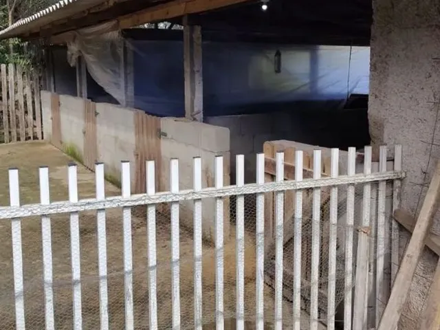 Imagem 9: Chácara com Tanque, Aceita Permuta
