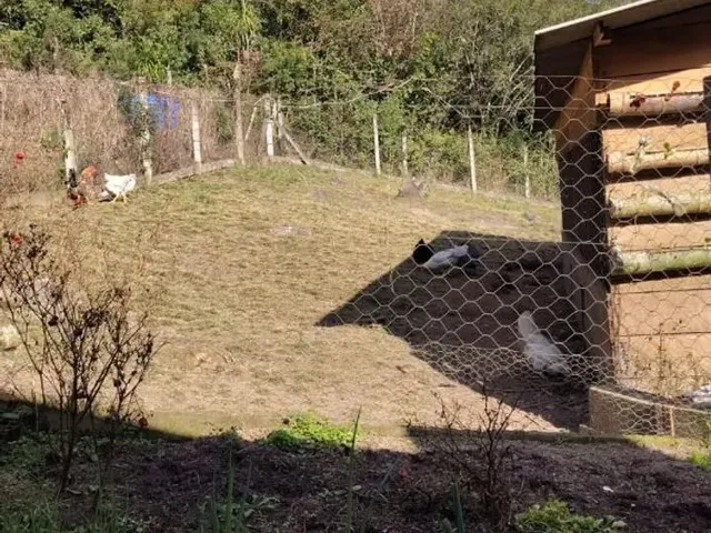 Imagem 10: Chácara com Tanque, Aceita Permuta