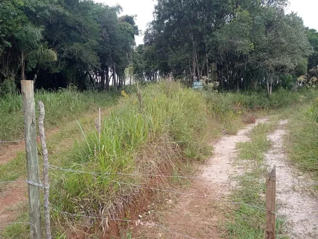 Imagem: Área em Campo Largo