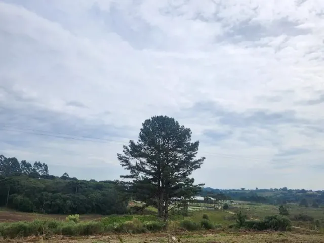 Imagem 11: Piraquara - Area de 20.000M2