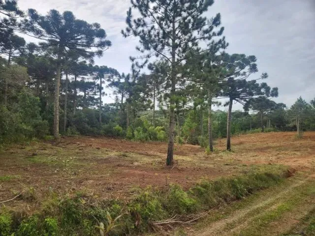 Imagem 2: Piraquara - Area de 20.000M2