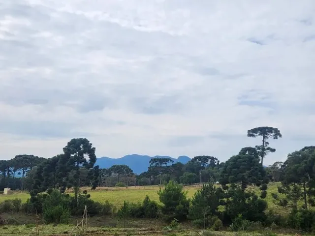 Imagem 7: Piraquara - Area de 20.000M2