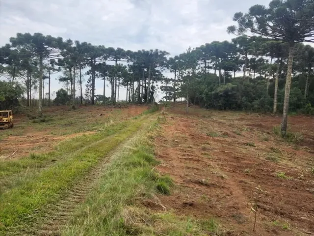 Imagem 4: Piraquara - Area de 20.000M2