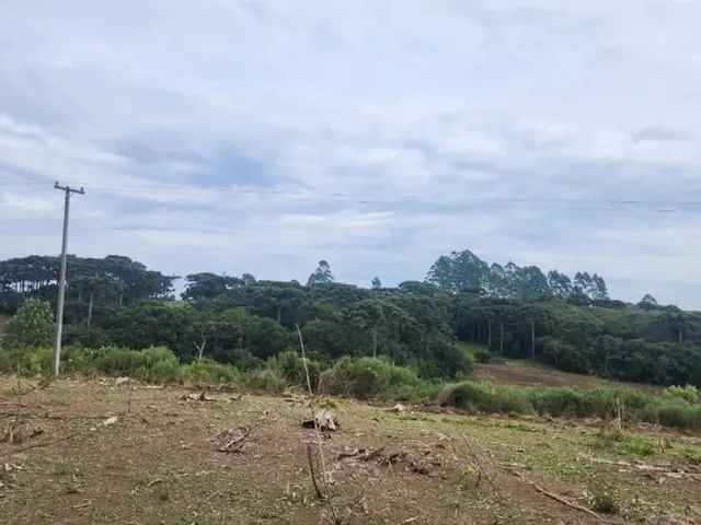 Imagem 13: Piraquara - Area de 20.000M2