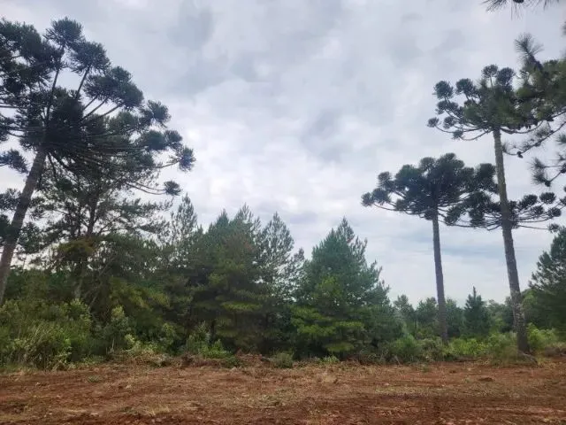 Imagem 3: Piraquara - Area de 20.000M2