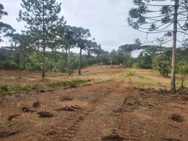 Imagem 6: Piraquara - Area de 20.000M2