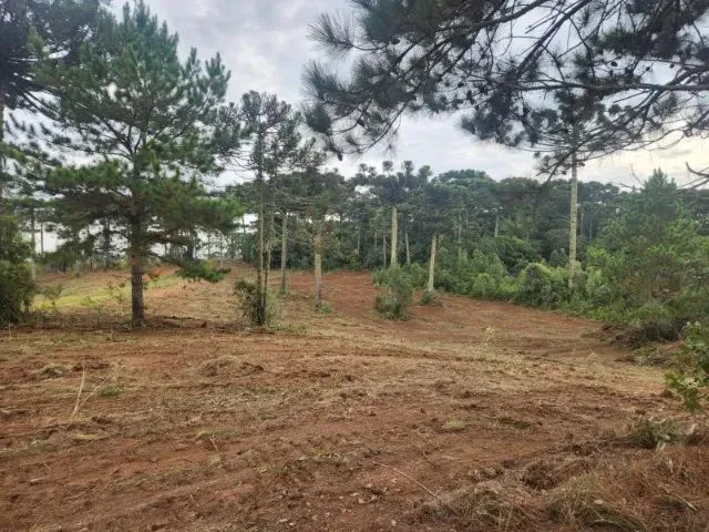 Imagem 8: Piraquara - Area de 20.000M2