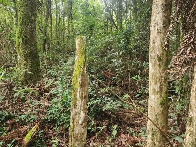 Imagem 9: Piraquara - Area de 20.000M2