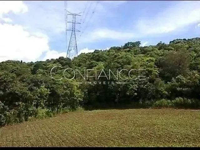 Imagem: Area a Venda em Campo Magro - Pr