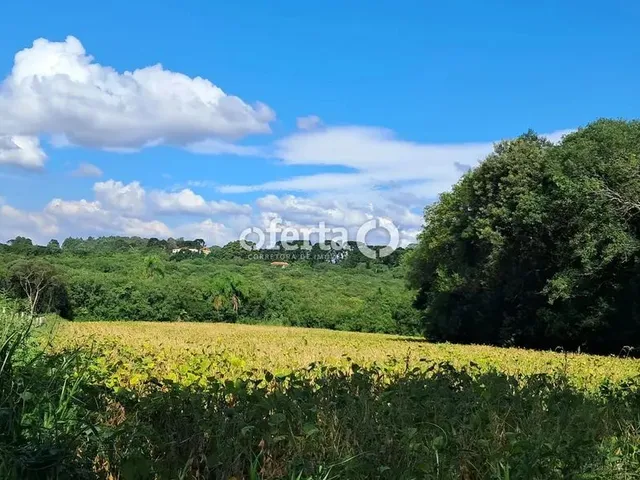 Imagem: Oferta 1479 - Chácara em Araucária