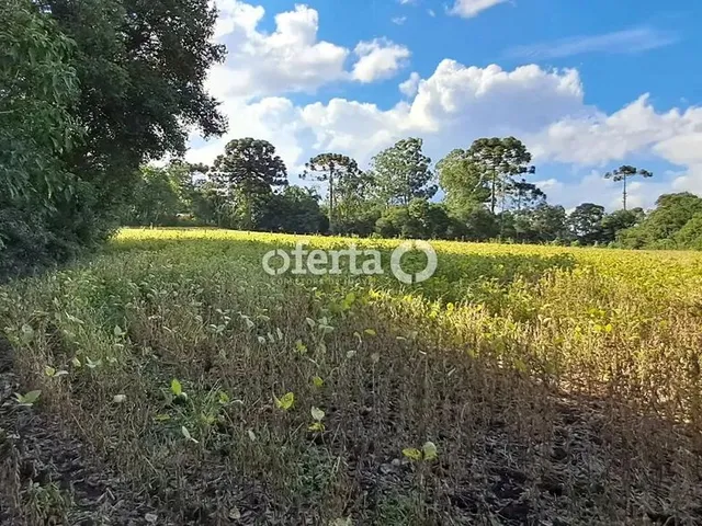Imagem 7: Oferta 1479 - Chácara em Araucária