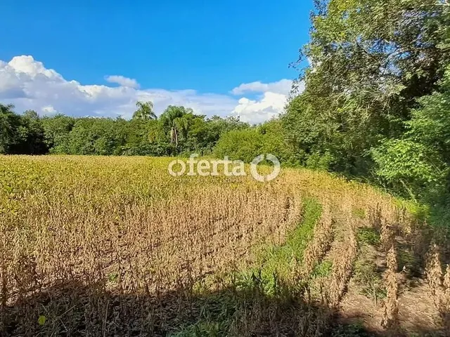 Imagem 14: Oferta 1479 - Chácara em Araucária