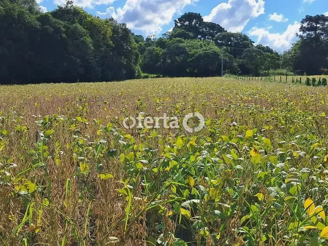 Imagem 4: Oferta 1479 - Chácara em Araucária