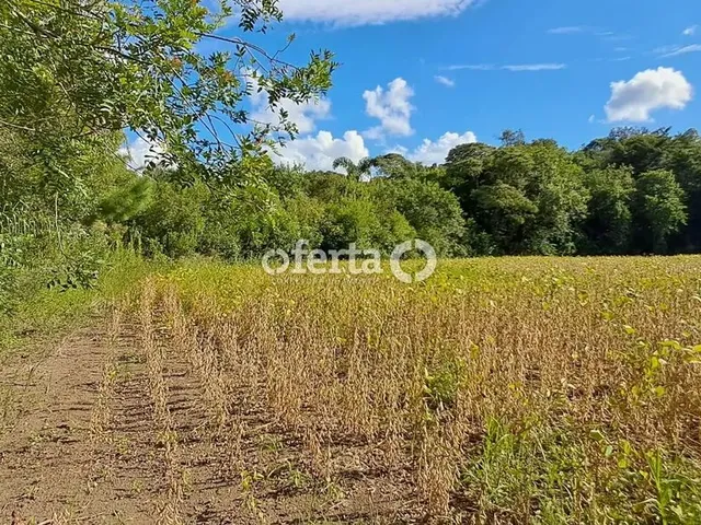 Imagem 16: Oferta 1479 - Chácara em Araucária