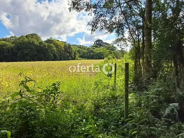 Imagem 10: Oferta 1479 - Chácara em Araucária