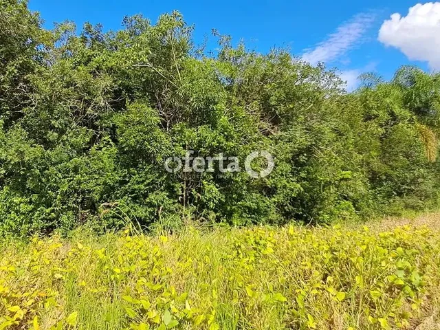 Imagem 3: Oferta 1479 - Chácara em Araucária