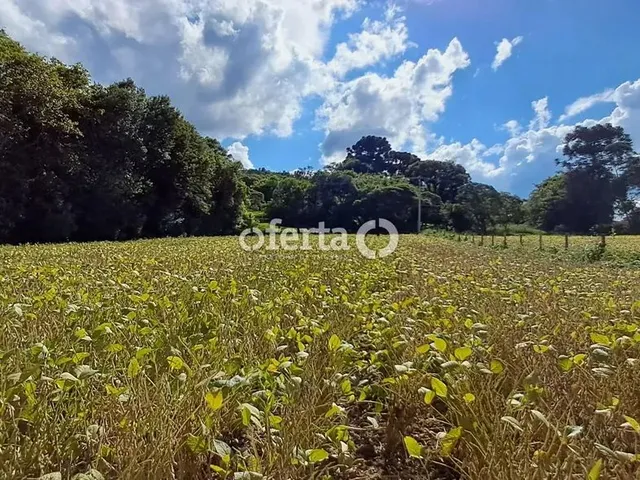 Imagem 11: Oferta 1479 - Chácara em Araucária
