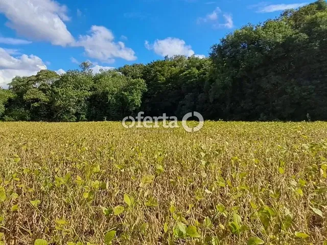 Imagem 12: Oferta 1479 - Chácara em Araucária