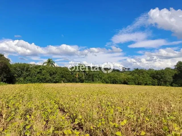 Imagem 8: Oferta 1479 - Chácara em Araucária