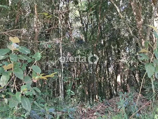 Imagem 2: Oferta 1479 - Chácara em Araucária