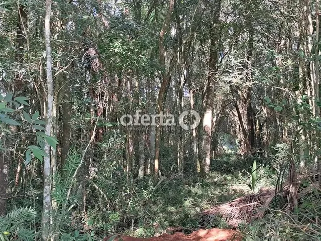 Imagem 9: Oferta 1479 - Chácara em Araucária