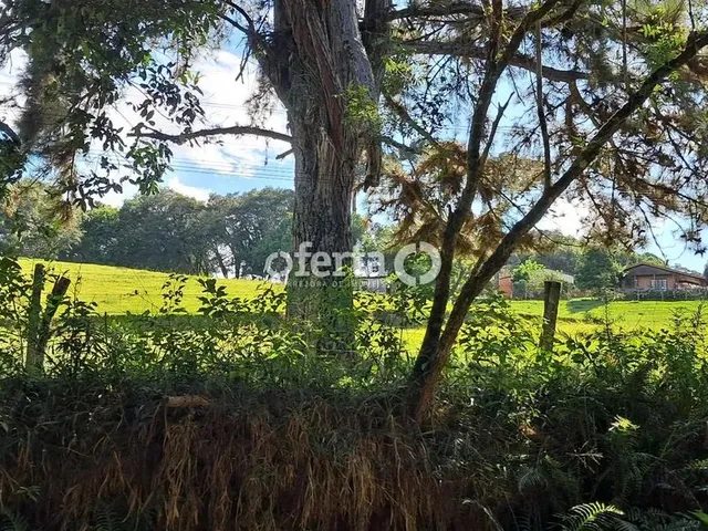 Imagem 5: Oferta 1479 - Chácara em Araucária