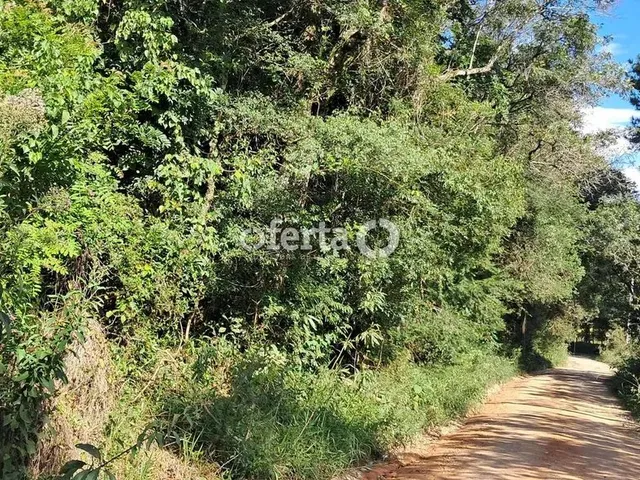 Imagem 13: Oferta 1479 - Chácara em Araucária