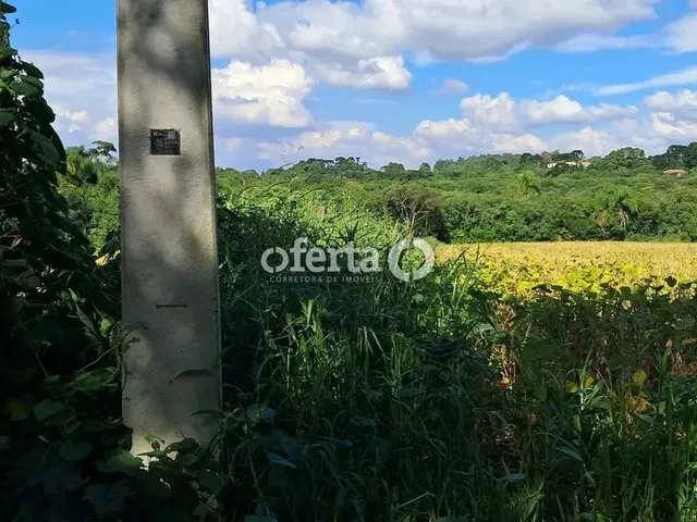 Imagem 6: Oferta 1479 - Chácara em Araucária