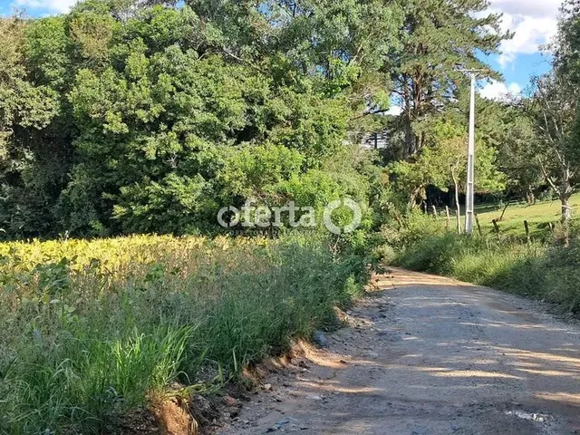 Imagem 15: Oferta 1479 - Chácara em Araucária